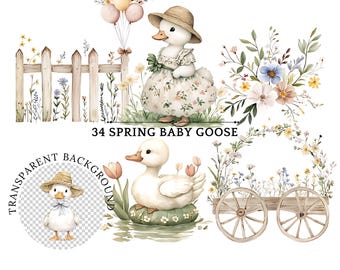 Clipart de ganso bebé en acuarela: Ilustraciones de primavera (Descarga digital)
