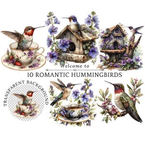 Aves en taza de té Clipart Colibríes Clipart PNG archivos Diseño de taza de té, Pájaros y flores Clip Art , Gráficos imprimibles florales Colibrí Png