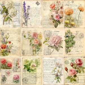 Puede incluir: Un collage de estampados florales de estilo vintage. Cada estampado presenta ilustraciones en acuarela de varias flores, como rosas, peon&iacute;as y lavanda, sobre un fondo de papel envejecido con escritura manuscrita y sellos postales. La paleta de colores es suave y apagada.