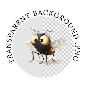 May include: A cartoon fly with large, expressive eyes, black and brown body, and translucent wings. The fly is standing on a transparent background.