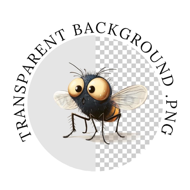 May include: A cartoon fly with large, expressive eyes, black and brown body, and translucent wings. The fly is standing on a transparent background.