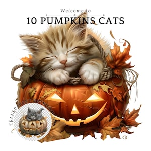 Schattige kat in een pompoen PNG Halloween clipart, Halloween kat, pompoen clipart sublimatie, schattige katten Halloween PNG, PNG, commercieel gebruik