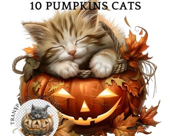 Halloween Cat Clipart, Pumpkin PNG, Commercial Use