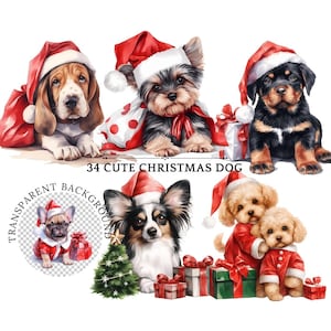 Netter Weihnachtshund Clipart PNG, netter Welpe in der Weihnachtsmütze mit Geschenk, festliche Feiertags-Hundezucht-Illustration für kommerziellen Gebrauch, sofortig