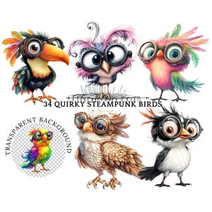 Quirky Bird Clipart, Funny Birds PNG Digital Download, Whimsical Bird Illustrations for Crafting, Commercial Use, Cute Bird Art, Steampunk