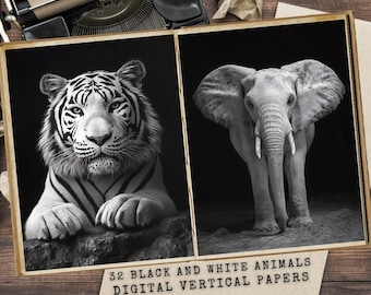 Black and White Safari Animal Print, Modern Wall Art (Digital Download)