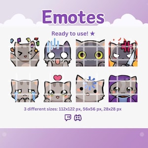 SWEET TABBY CAT Set (10)  Twitch / Discord / Youtube, Emotes for Streaming, Kawaii Emotes, Cute Emotes, Cat, Kitten, Neko