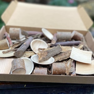 Ultimate Chew Toy Box