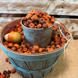 2 Cups Scented Putka Pod Mix pumpkin Thanksgiving Decor Potpourri Bowl Filler
