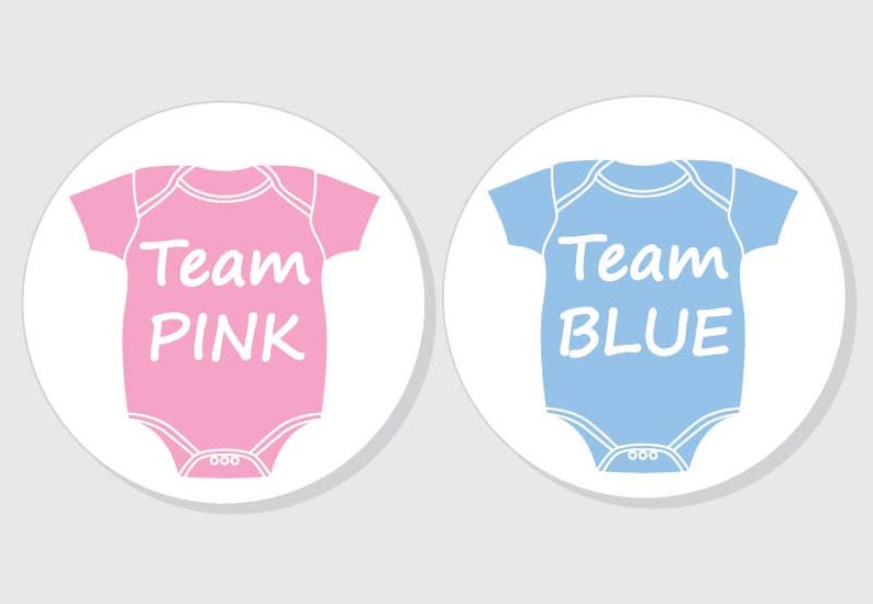 Team Pink Team Blue Gender Reveal Baby Shower Stickers Etsy