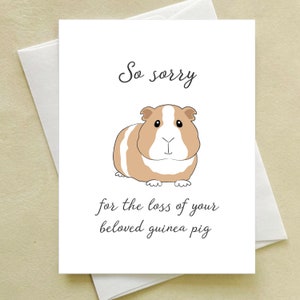 Guinea Pig Sympathy Card  - So sorry for the loss of you beloved guinea pig greeting card