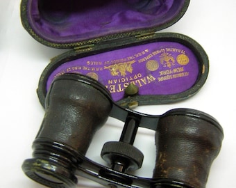 Antique 1800s Opera Glasses Racing Glasses Binoculars WALDSTEIN Vienna / NYC with Original Case