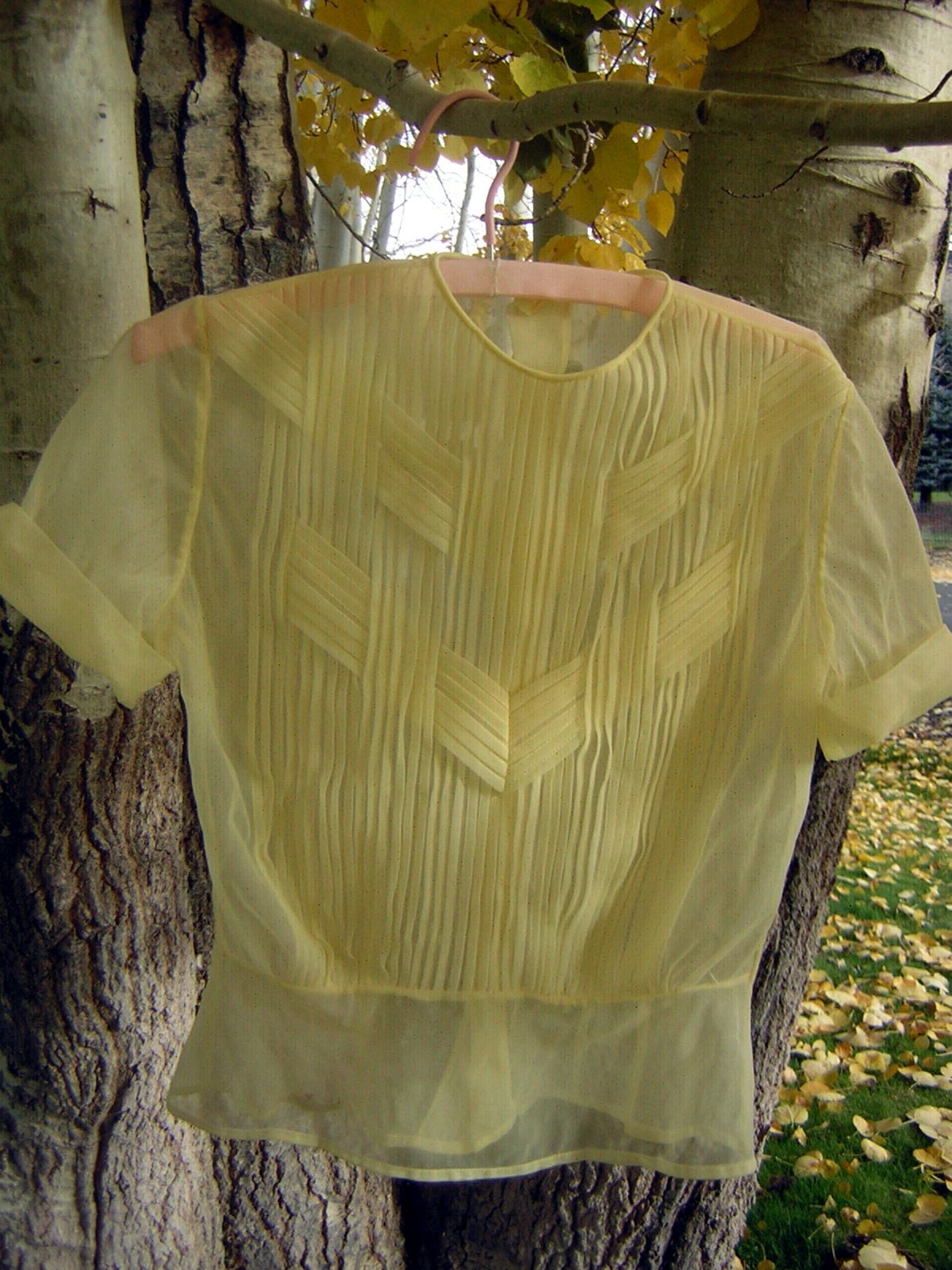 Vintage 50s NYLON SHEER See Through Blouse With Pleated
