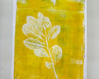 Japanese Pittosporum Yellow - Original Art, Monoprint, 8.5x11 inch, Botanical Print