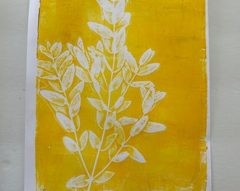 Eucalyptus Yellow  - Original Art, Monoprint, 8.5x11 inch, Botanical Print