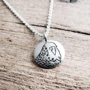 Tiny parakeet necklace, silver budgie memorial jewelry image 1