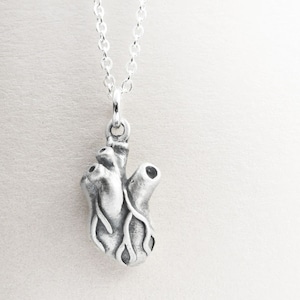 Anatomical Heart Necklace in Sterling Silver, Realistic Human Heart Jewelry, Valentine's gift image 1