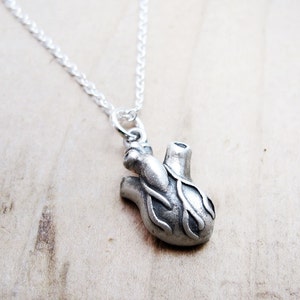 Anatomical Heart Necklace in Sterling Silver, Realistic Human Heart Jewelry, Valentine's gift image 4
