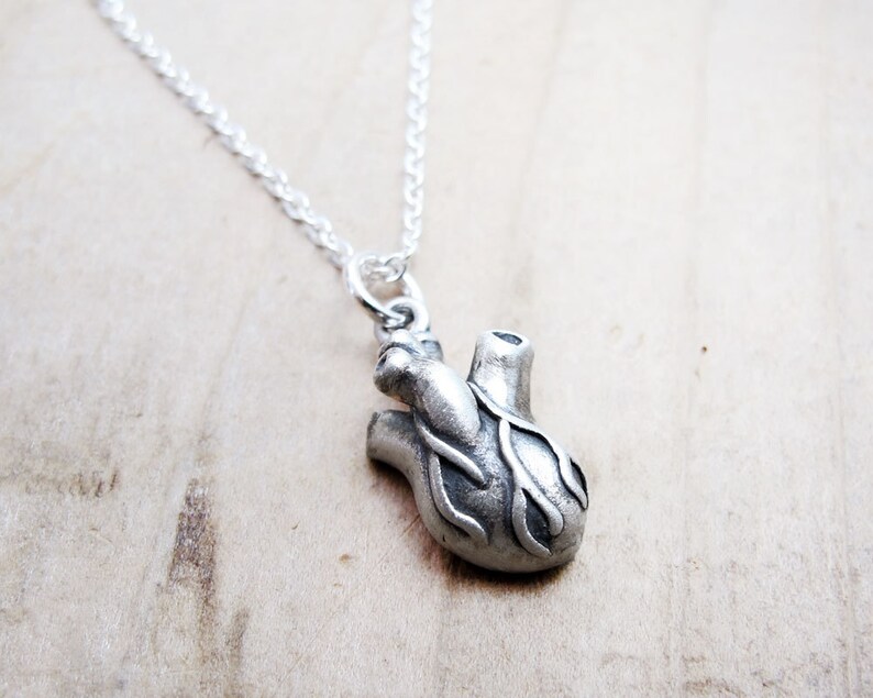 Anatomical Heart Necklace in Sterling Silver, Realistic Human Heart Jewelry, Valentine's gift image 4