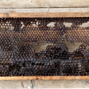 Nachhaltig bezogener, rustikaler Upcycled zweckentfremdeter antiker Vintage Bienenstock Kuriositäten Kunstrahmen mit echten natürlichen Bienenwachs Waben.