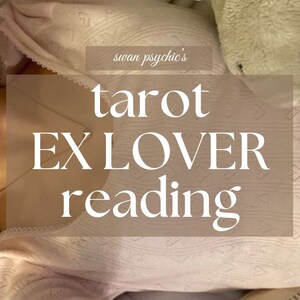 Może przedstawiać: Jasnoróżowy top z koronkowym wykończeniem i napisem "swan psychic's tarot EX LOVER reading" w białej czcionce. W tle biała pluszowa zabawka.