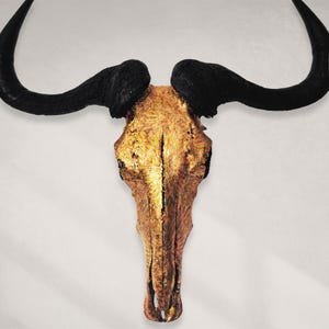 Wildebeest Skull  - Orange Sunburst Variegated Gold Gilded Skull