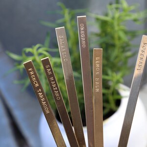 May include: Close-up of several rectangular, gold-colored metal herb garden markers. Each marker has a different herb name in a serif font: French Tarragon, San Marzano, Jalapeno, Oregano, Lemon Balm, and Rosemary. A green plant is visible in the background.