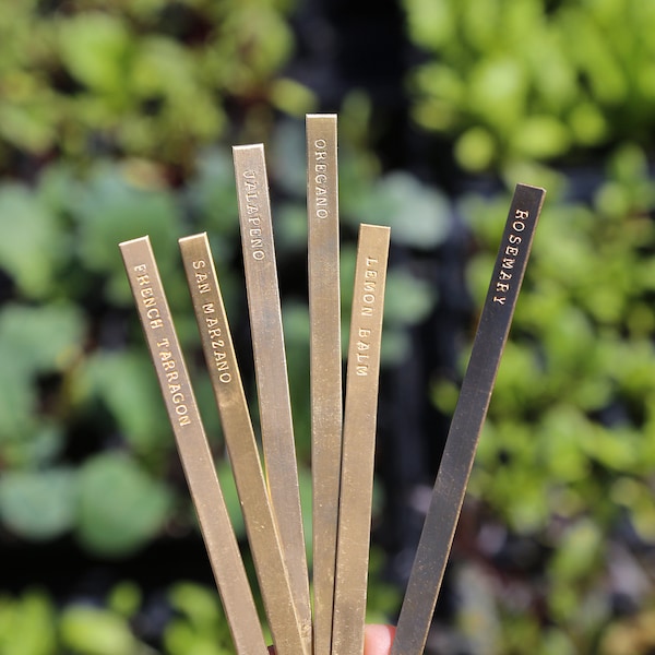 Marqueurs de plantes en laiton personnalisés - Étiquettes de jardin en métal - Marqueurs d'herbes de jardin - Panneaux de plantes d'extérieur - Étiquettes de plantes personnalisées - Cadeau jardinier