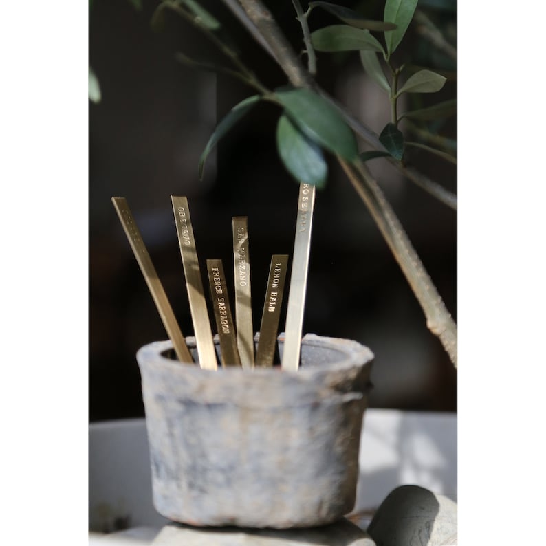 May include: A weathered gray ceramic pot holds several thin, rectangular brass plant markers. Each marker is engraved with a different herb name: 'Rosemary', 'Lemon Balm', 'French Tarragon', and 'Oregano'. Green leaves and branches are in the background.