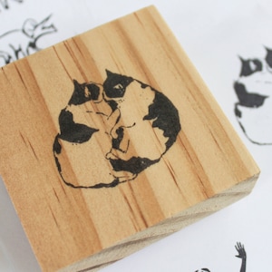 Sello de goma para gatos / Sello de gato personalizado / Regalo para amantes de los gatos