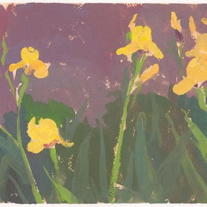 May include: A watercolour painting of yellow iris flowers with green stems and leaves against a purple background. The flowers are in various stages of bloom, with some buds still closed. The artwork has a soft, painterly quality.