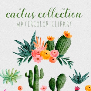 20 AQUARELL KAKTUS CLIPART, kommerzielle Nutzung, digitales Aquarell, Kakteen Clipart, Kränze, florale Design Elemente, Südwest grafik