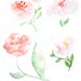 see more listings in the FLORAL CLIPART section