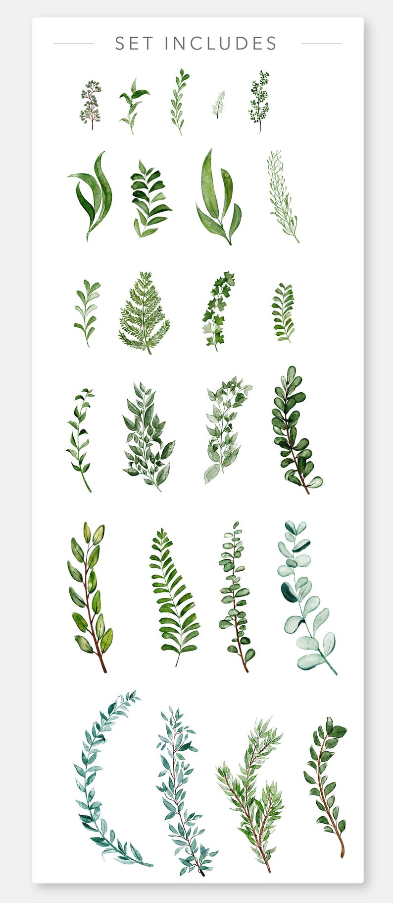 WILD GREENERY BOTANICALS, Commercial Use, Muted Watercolor Illustration