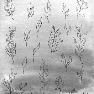 MISTY BOTANICAL CLIPART black and white muted watercolor graphics and linework art drawings, includes png and svg files for commercial use image 4
