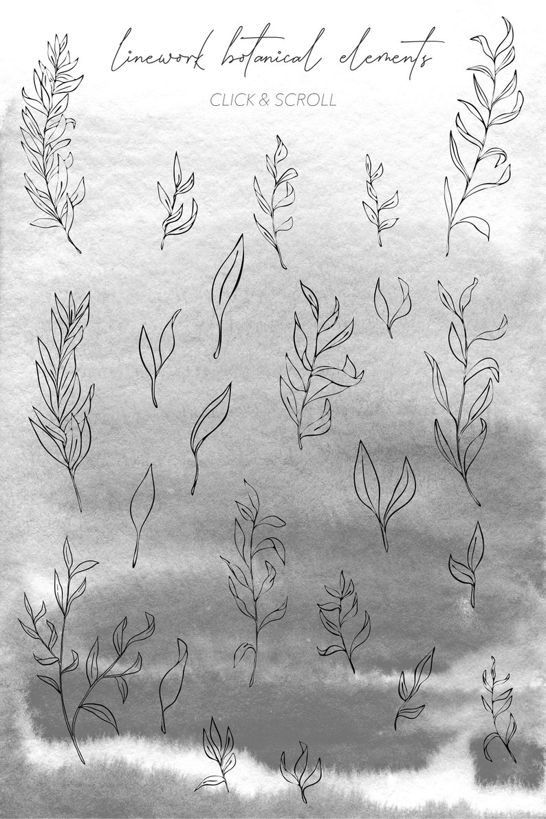 MISTY BOTANICAL CLIPART black and white muted watercolor graphics and linework art drawings, includes png and svg files for commercial use image 4