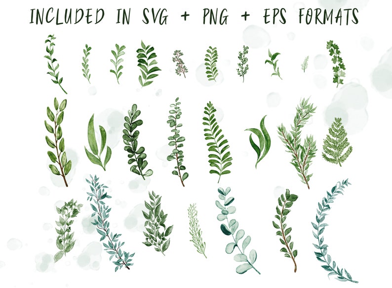 BOTANICAL GREENERY Vector Art, commercial use, muted watercolor florals, SVG clip art graphics, wreaths, modern, greens, foliage, leaves image 2