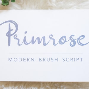 May include: A white card with the word "Primrose" written in a blue, brush script font. Below the word is the text "MODERN BRUSH SCRIPT".