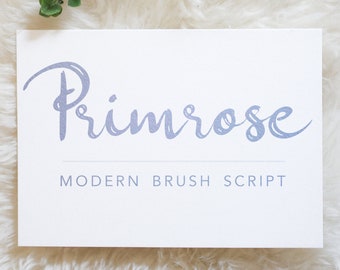 PRIMROSE Modern Brush Script Font, Digital Download, Commercial Use, Modern Calligraphy OTF, hand drawn script, templett corjl use allowed