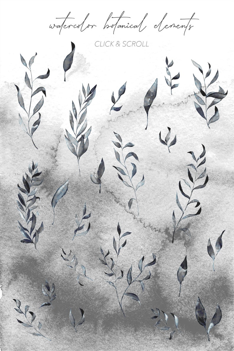 MISTY BOTANICAL CLIPART black and white muted watercolor graphics and linework art drawings, includes png and svg files for commercial use image 3