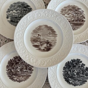 Puede incluir: Un juego de cinco platos de cerámica blanca con patrones florales en relieve en los bordes. Cada plato presenta una escena de paisaje en tonos sepia diferente en el centro, con árboles, edificios y elementos acuáticos.