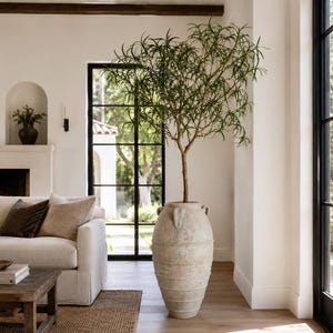 May include: A large, tall, beige terracotta urn with a weathered, textured finish and two small handles near the rim. The vessel contains a tall, slender green plant with thin, needle-like leaves and a single woody brown trunk.