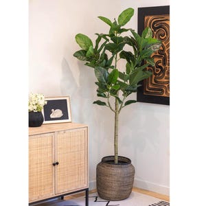May include: A tall, leafy houseplant in a woven basket planter. The plant is positioned next to a light wood cabinet with black hardware and a framed swan print. A piece of abstract art hangs on the wall above the cabinet.