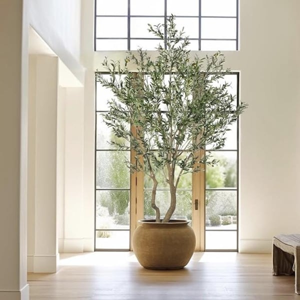 8’ or 10' Faux Olive Tree, Artificial Olive Tree, 8’ Olive Tree, 10' Olive Tree, Extra Large Olive Tree, 120" Olive Tree