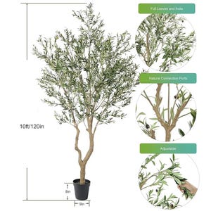 May include: A 10-foot tall artificial olive tree with green leaves and small dark olives. The tree has a textured brown trunk and is planted in a black pot measuring 8 inches in height and 9 inches in width. Branches are adjustable for shaping.