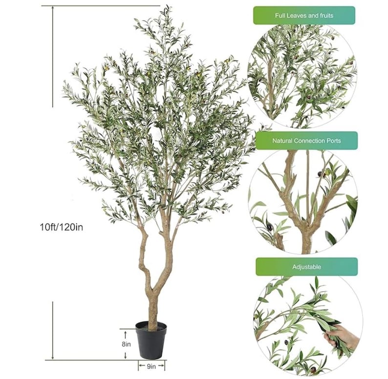 May include: A 10-foot tall artificial olive tree with green leaves and small dark olives. The tree has a textured brown trunk and is planted in a black pot measuring 8 inches in height and 9 inches in width. Branches are adjustable for shaping.