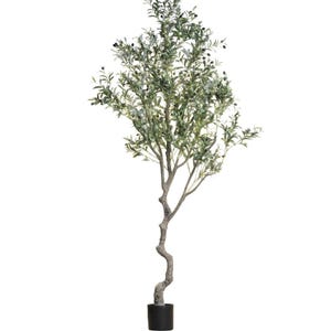 Puede incluir: Un olivo artificial con un tronco sinuoso y una densa copa de hojas verdes y peque&ntilde;as aceitunas oscuras. El &aacute;rbol est&aacute; plantado en una maceta cil&iacute;ndrica negra. Perfecto para a&ntilde;adir un toque mediterr&aacute;neo a cualquier espacio interior. Es un art&iacute;culo decorativo.