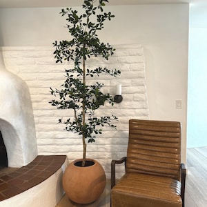8&#39; Shady Lady Black Olive Tree, Black Olive Tree, Shady Lady Tree, Faux Black Olive, Faux Shady Lady