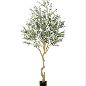 May include: A tall artificial olive tree with a brown, twisted trunk and green leaves. The tree is potted in a black plastic pot.