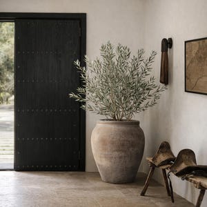 May include: A large, weathered terracotta pot filled with an olive tree, set in a neutral-toned interior. The scene includes a dark wooden door, rustic wooden stools, and a framed map, creating a serene, natural aesthetic. The floor is tiled.